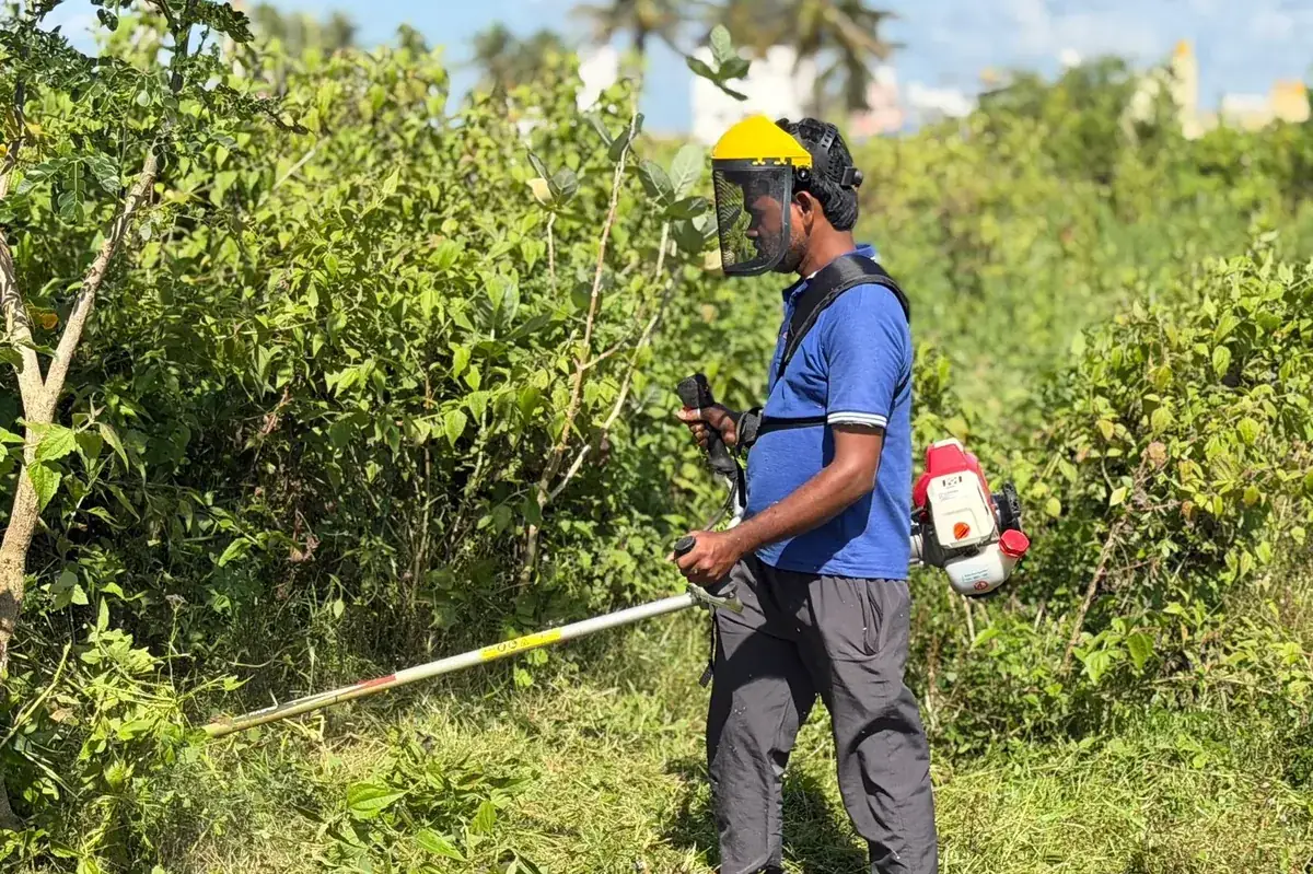 An operator demonstrates a brush cutter in dense green undergrowth at the Rancher launch